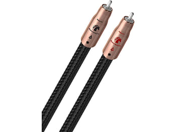 Deux câbles audio RCA Audioquest Black Beauty, connecteurs RCA plaqués or, gaine tressée noire, longueur 1 mètre